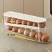 Egg Organizer