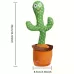 Talking Cactus Toys