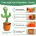 Talking Cactus Toys