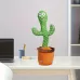 Talking Cactus Toys