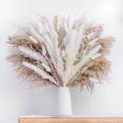 Dried Pampas Grass Deco