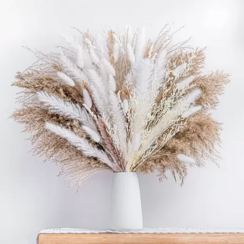 Dried Pampas Grass Deco