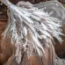 Dried Pampas Grass Deco