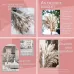 Dried Pampas Grass Deco