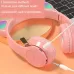 Ear Led Headphones