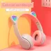 Ear Led Headphones