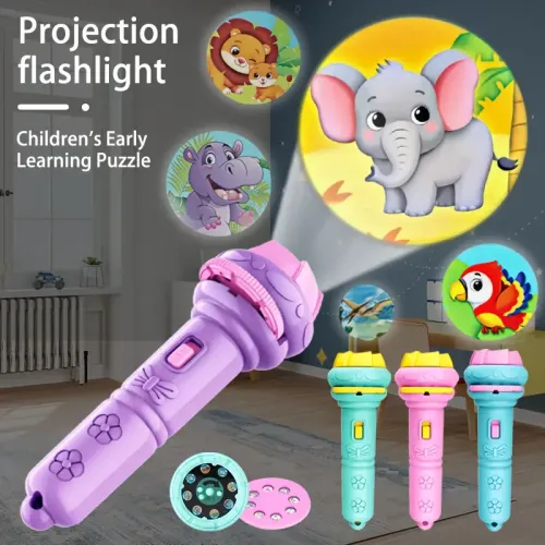 Projection Flashlight